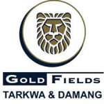 GoldFields Tarkwa & Damang